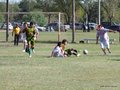 AFUCO10F 146