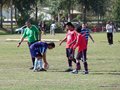 AFUCO10F 116