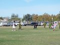 AFUCO10F 137