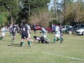 AFUCO10F 019