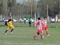AFUCO11F 166