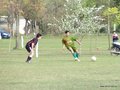 AFUCO11F 036