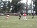 AFUCO11F 081