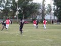 AFUCO11F 082