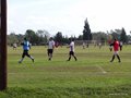 AFUCO11F 003