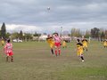 AFUCO11F 155