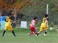 AFUCO11F 148