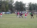 AFUCO11F 079