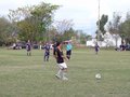 AFUCO11F 049