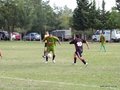 AFUCO11F 028