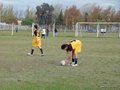 AFUCO11F 156
