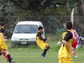 AFUCO11F 146