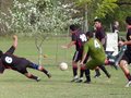 AFUCO11F 037
