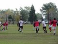 AFUCO11F 008