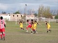 AFUCO11F 160