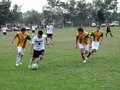 AFUCO11F 115
