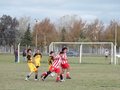 AFUCO11F 154