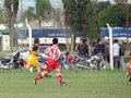 AFUCO11F 151