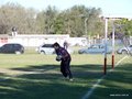 AFUCO12F 031