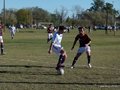 AFUCO12F 042