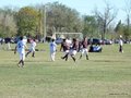 AFUCO12F 037