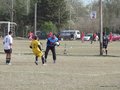 AFUCO13F 100