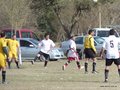 AFUCO13F 101