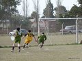 AFUCO13F 013