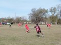 AFUCO13F 113