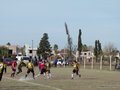 AFUCO13F 135