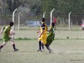 AFUCO13F 017