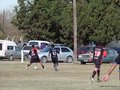 AFUCO13F 037