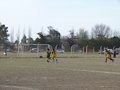 AFUCO13F 011