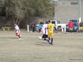 AFUCO13F 087