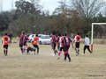 AFUCO14F 133