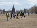 AFUCO14F 105