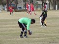 AFUCO14F 033