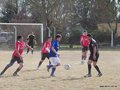 AFUCO15F 005