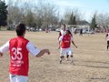 AFUCO15F 043
