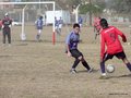 AFUCO15F 036