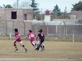 AFUCO16F 049