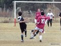 AFUCO16F 037