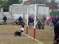 AFUCO16F 124