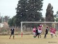 AFUCO16F 033