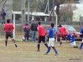AFUCO16F 031