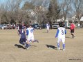 AFUCO17F 234