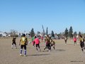 AFUCO17F 133
