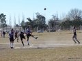 AFUCO17F 142