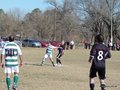 AFUCO17F 033