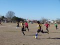 AFUCO17F 134
